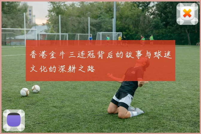 香港金牛三连冠背后的故事与球迷文化的深耕之路