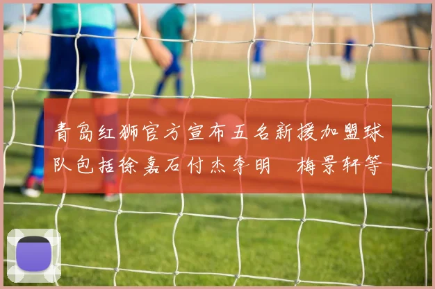 青岛红狮官方宣布五名新援加盟球队包括徐嘉石付杰李明璠梅景轩等球员